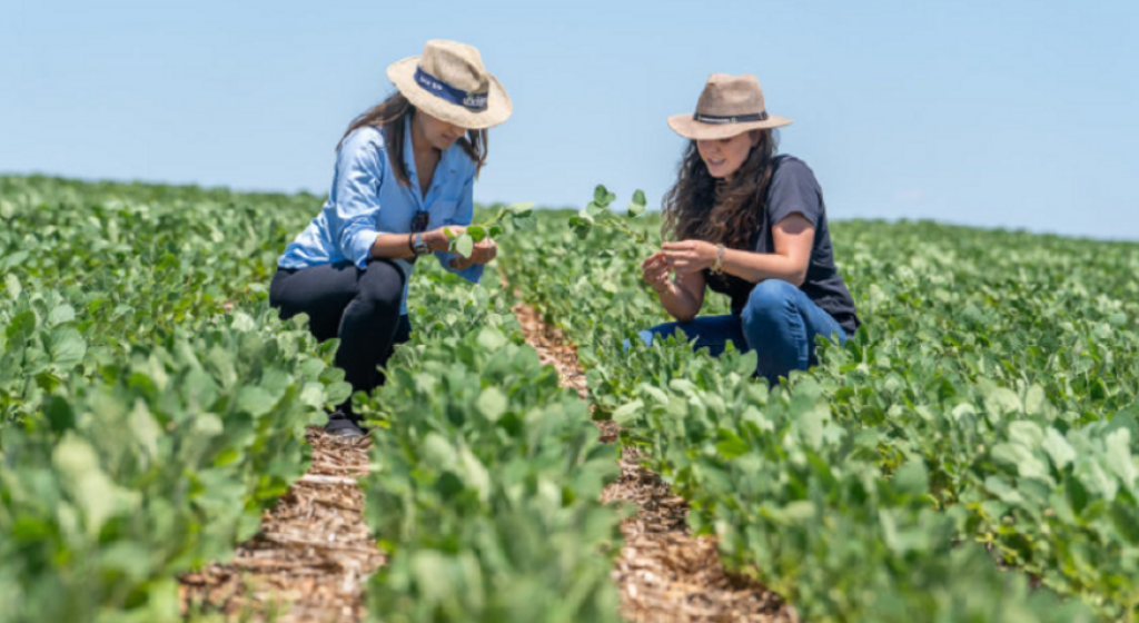 Mais terra, crédito e tecnologia para mulheres podem ampliar produção e renda no campo