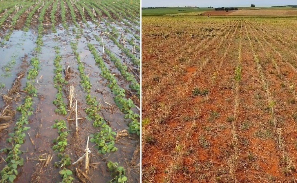 Chuva de até 200 mm no Sul e seca no Norte dividem os riscos para a safra