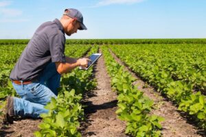 Produtor tem até 12 de novembro para buscar alívio na dívida rural