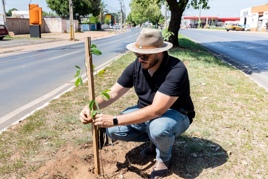 Cuiabá supera marca de mil árvores plantadas em outubro