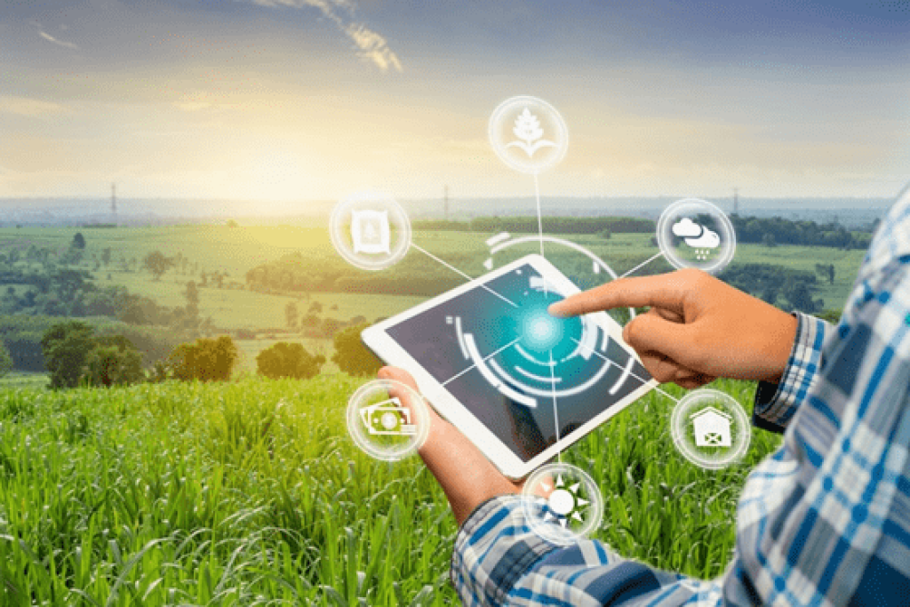 Empresas do agro podem reduzir impostos com investimentos